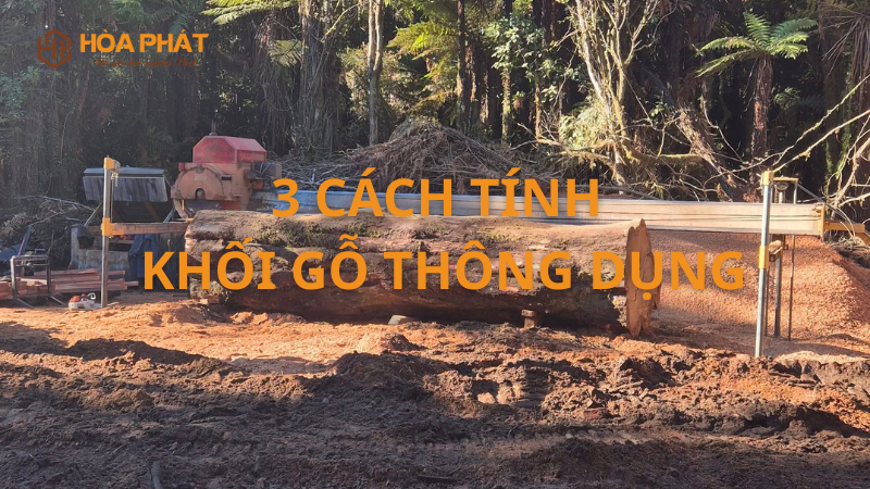 Cách Tính Khối Gỗ Tròn Chính Xác, Đơn Giản & Hiệu Quả Nhất 2025 3 Cách Tính Khối Gỗ Tròn Thông Dụng