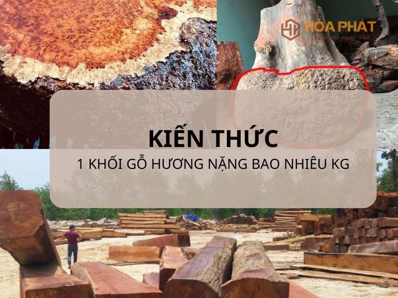 1 Khối Gỗ Hương Nặng Bao Nhiêu Kg