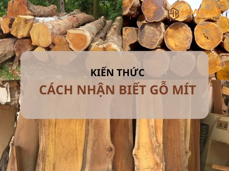 Cách Nhận Biết Gỗ Mít
