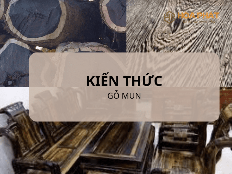 Gỗ Mun