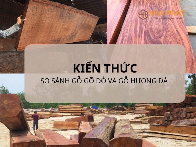 So Sánh Gỗ Gõ Đỏ Và Gỗ Hương Đá