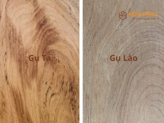 So Sánh Gỗ Gụ Ta Và Gụ Lào
