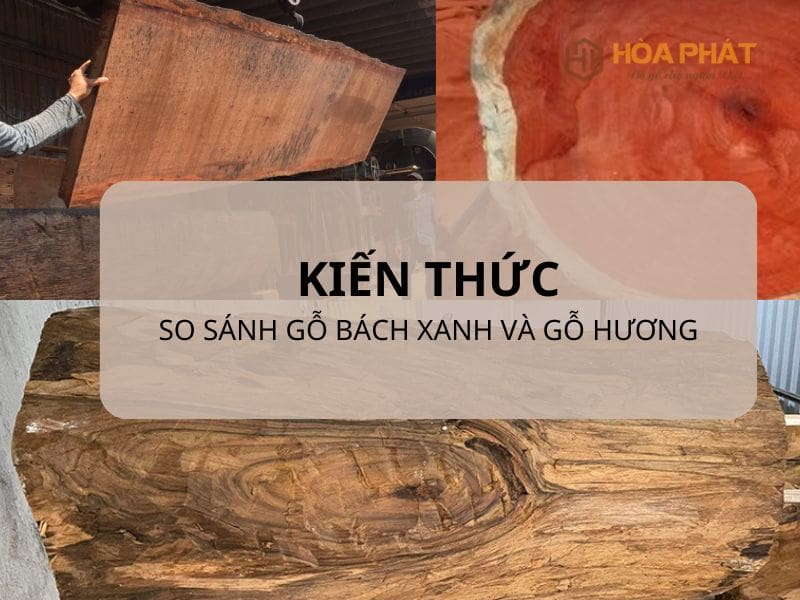 So sánh gỗ bách xanh và gỗ hương – Loại nào bền đẹp, giá trị hơn? So Sánh Gỗ Bách Xanh Và Gỗ Hương