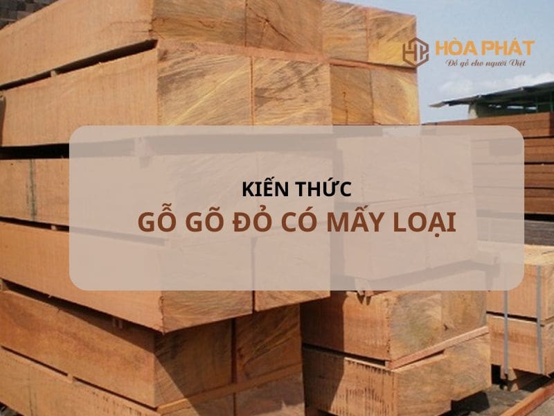 Gỗ Gõ đỏ Có Mấy Loại