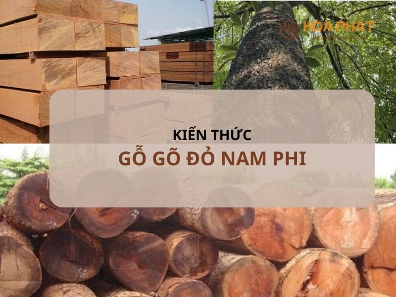 Gỗ Gõ đỏ Nam Phi