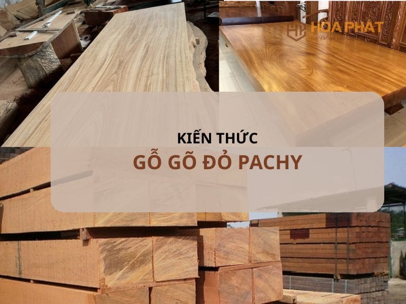 Gỗ Gõ đỏ Pachy