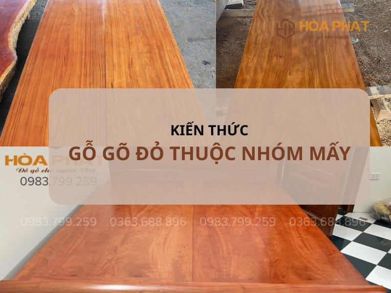 Gỗ Gõ đỏ Thuộc Nhóm Mấy