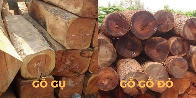 So Sánh Gỗ Gõ Đỏ Và Gỗ Gụ: Nên Chọn Loại Nào Cho Nội Thất Gỗ Cao Cấp? Go-go-do-va-go-gu-04