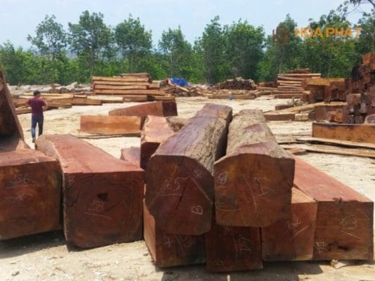 Gỗ Gụ Campuchia Có Tốt Không