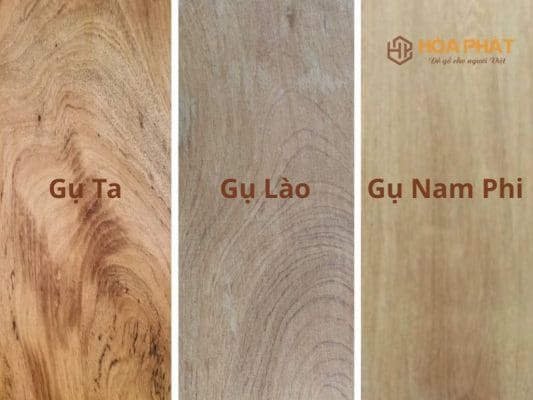 Gỗ Gụ Có Mấy Loại So Sánh Từng Loại