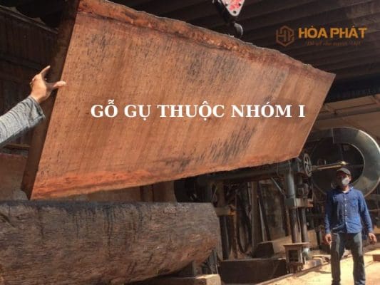 Gỗ Gụ Thuộc Nhóm Mấy