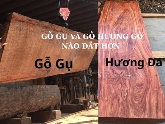Gỗ Gụ Và Gỗ Hương Gỗ Nào đắt Hơn