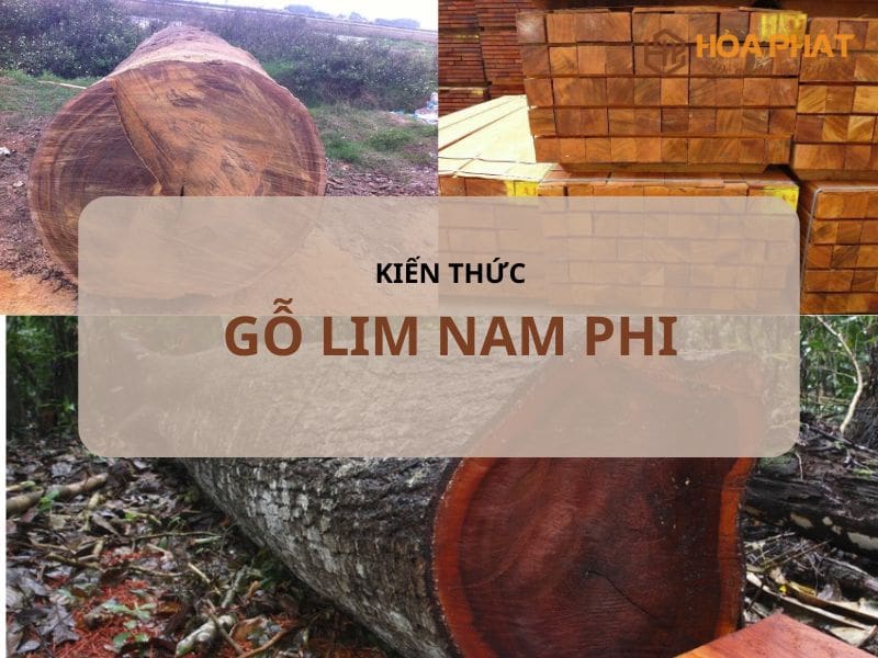 Gỗ Lim Nam Phi