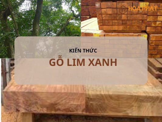 Gỗ lim xanh Gỗ Lim Xanh