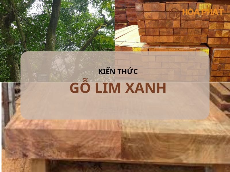 Gỗ Lim Xanh