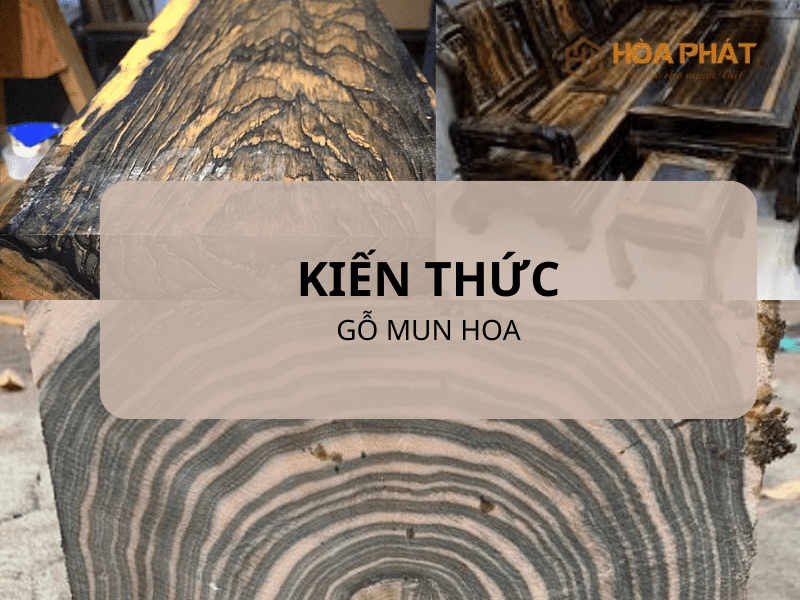 Gỗ Mun Hoa: Đặc Điểm, Ưu Nhược Điểm, Ứng Dụng & Báo Giá Mới Nhất Gỗ Mun Hoa