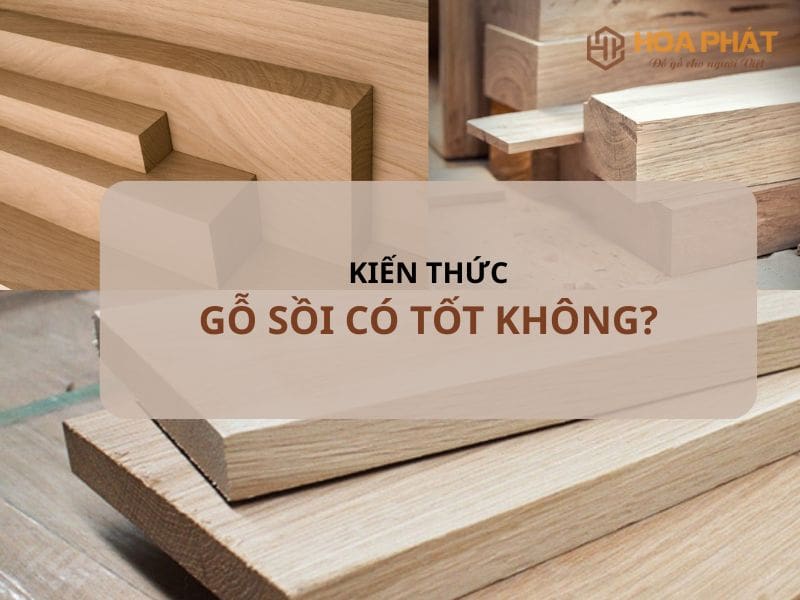 Gỗ Sồi Có Tốt Không? Ưu Nhược Điểm, Ứng Dụng Và Cách Chọn Mua Gỗ Sồi Có Tốt Không