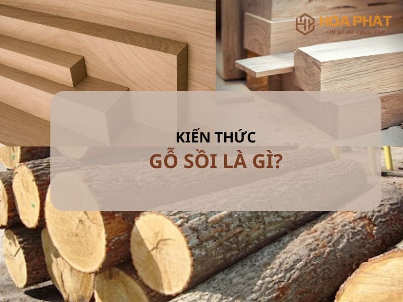Gỗ Sồi