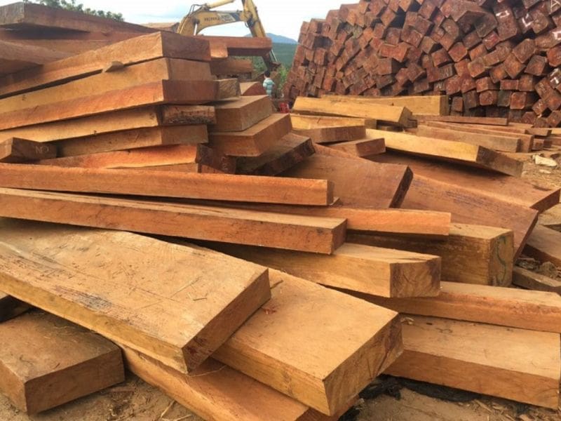 Gỗ Lim Nam Phi Giá Bao Nhiêu? So Sánh Giá Và Cách Chọn Mua Chuẩn Gỗ Lim Nam Phi Giá Bao Nhiêu