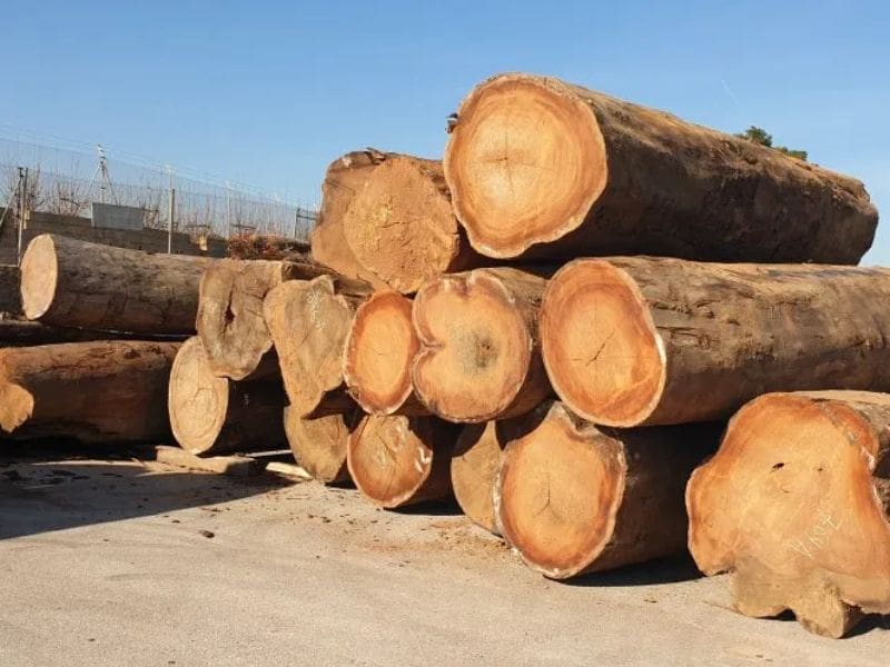 Gỗ Lim Nam Phi Giá Bao Nhiêu? So Sánh Giá Và Cách Chọn Mua Chuẩn Gỗ Lim Nam Phi Giá Bao Nhiêu