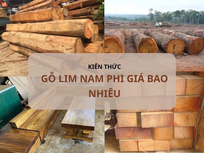 Gỗ Lim Nam Phi Giá Bao Nhiêu? So Sánh Giá Và Cách Chọn Mua Chuẩn Gỗ Lim Nam Phi Giá Bao Nhiêu