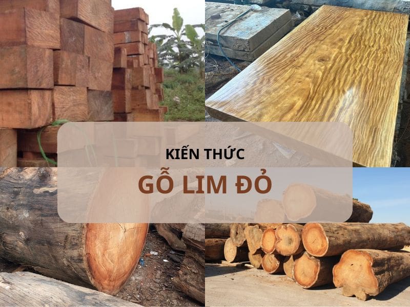 Gỗ Lim đỏ