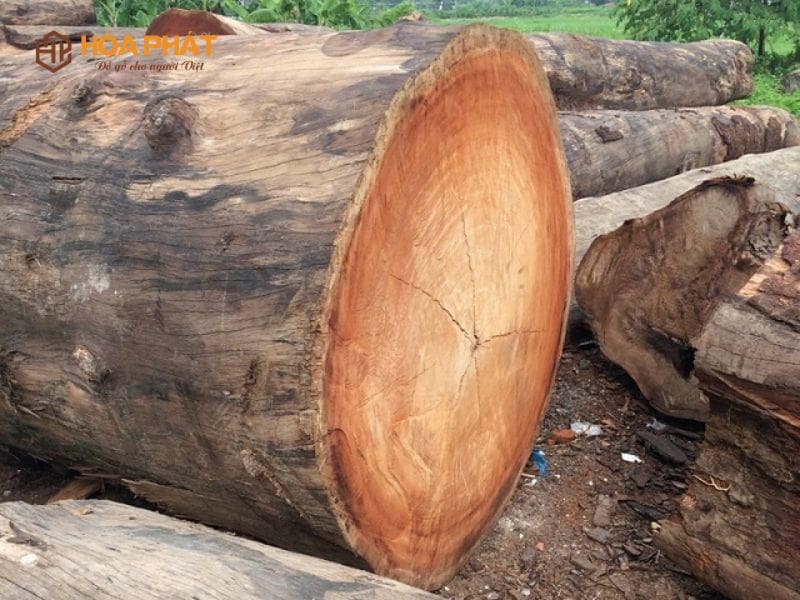 Gỗ Lim đỏ