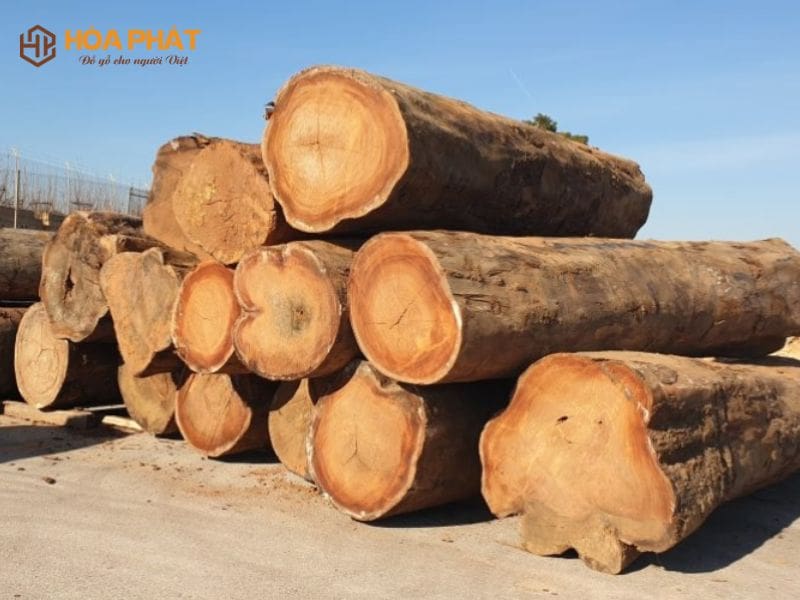 So Sánh Gỗ Lim Và Gõ đỏ