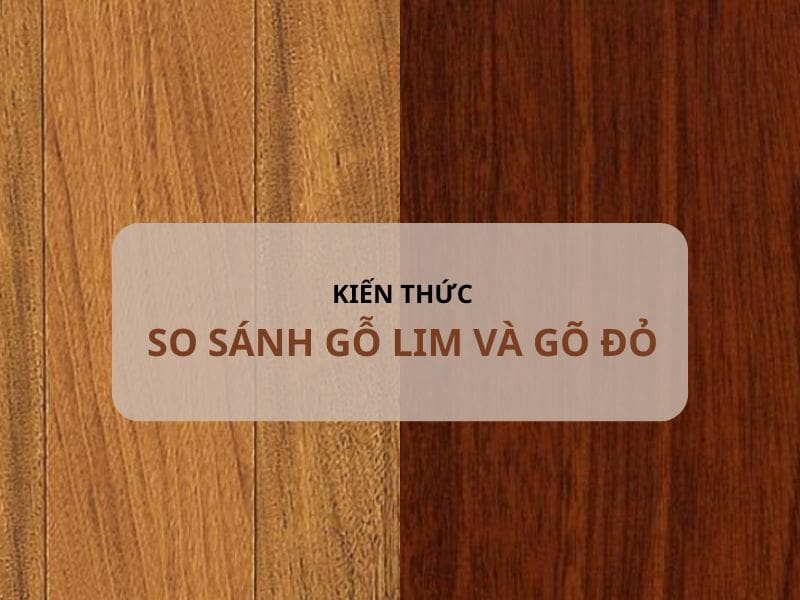So Sánh Gỗ Lim Và Gõ đỏ